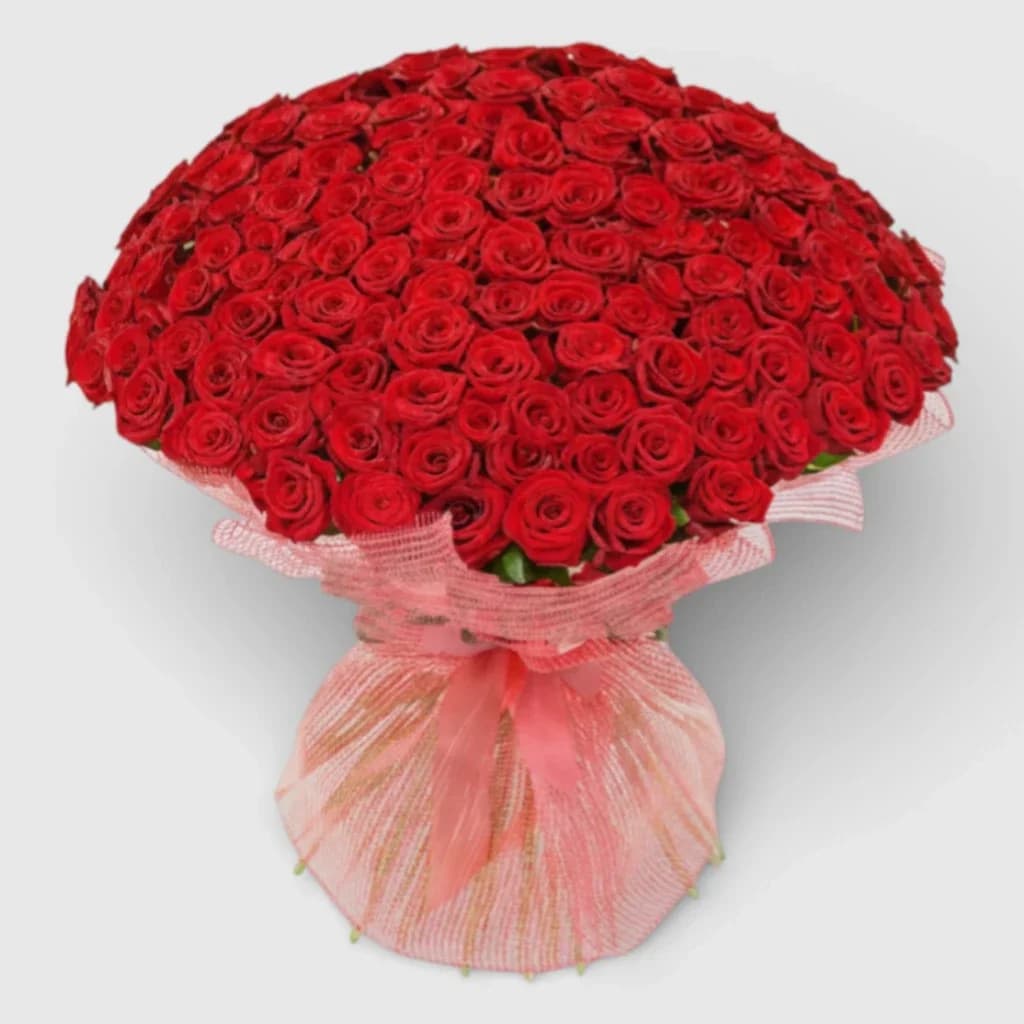 VIP bouquet of 201 red roses
