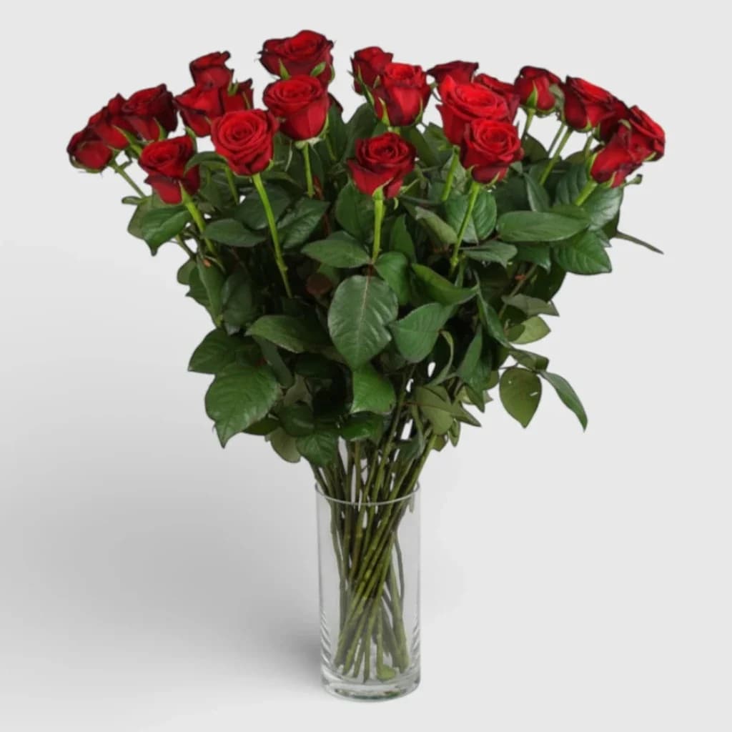 Bouquet  "23 Red Roses"