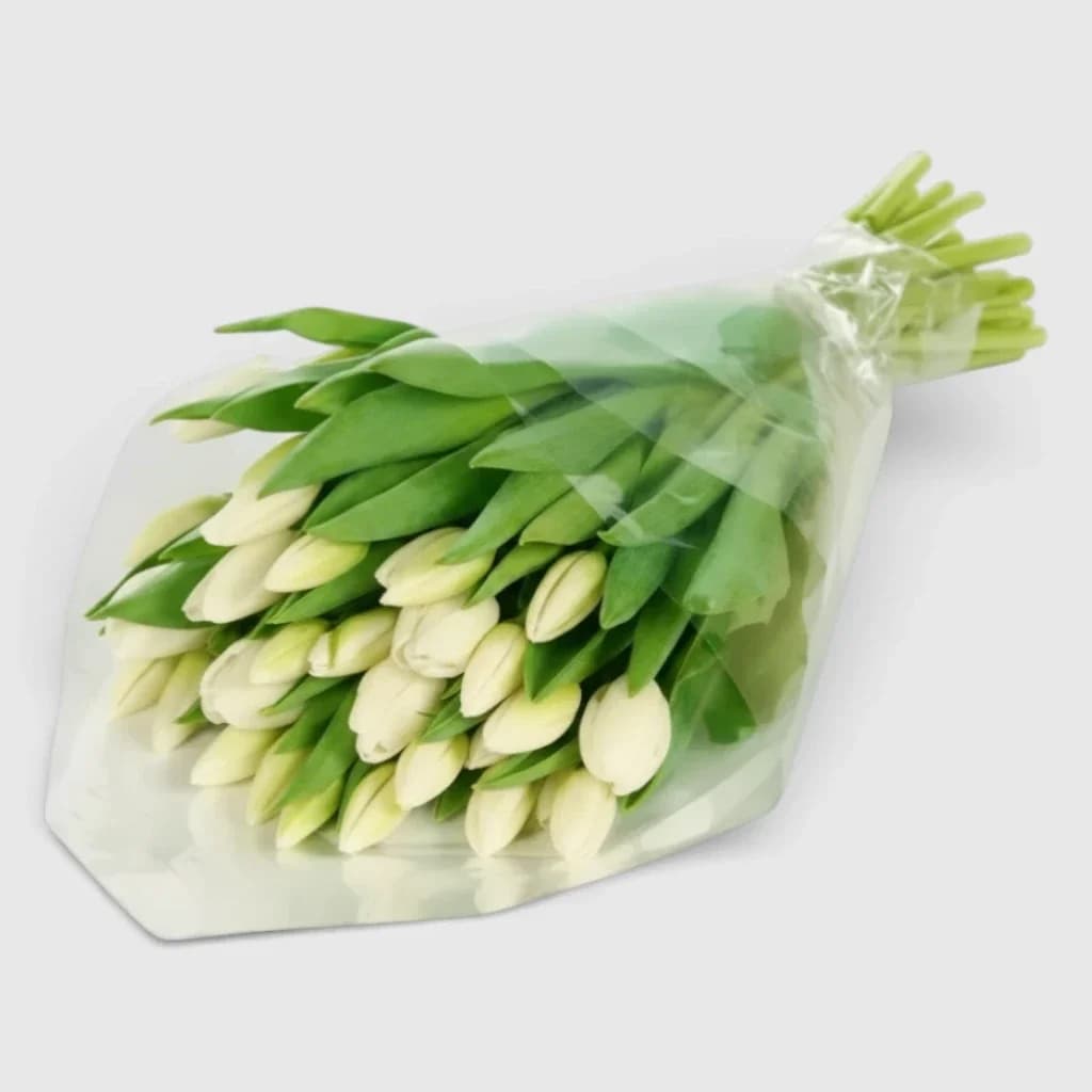 Bouquet of 39 whiteTulips