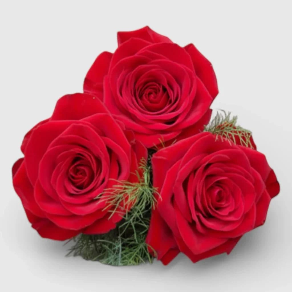 Bouquet of Flowers "3 Red Roses"