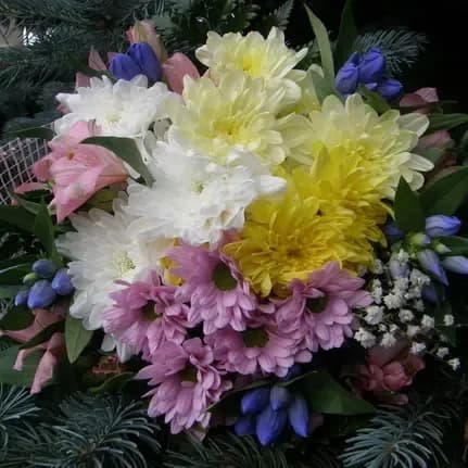Bouquet of chrisantemums and Alstromeria "Harmony"
