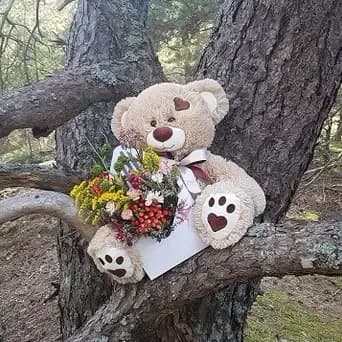 Soft brown toy teddy bear, coffee, 38 cm.