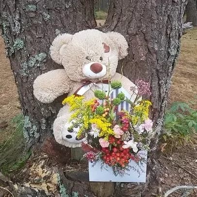Soft brown toy teddy bear, coffee, 38 cm.