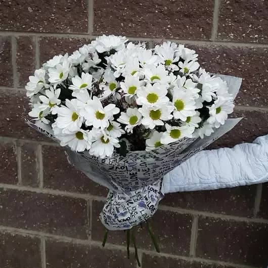 Bouquet of 7 white chrysanthemum