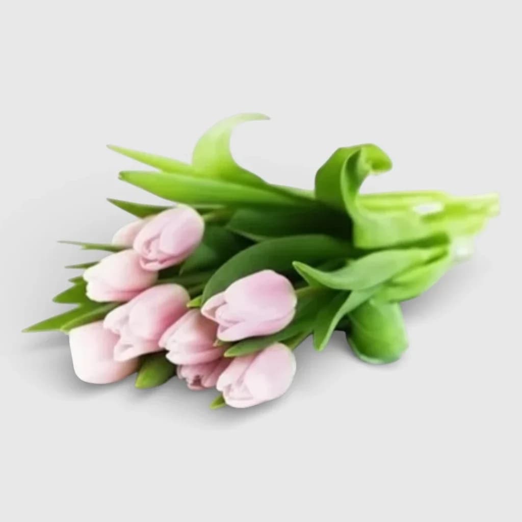 Bouquet of pink tulips "Aroma of Spring"
