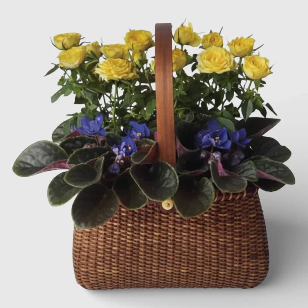 Roses and Violet Garden To Go Basket