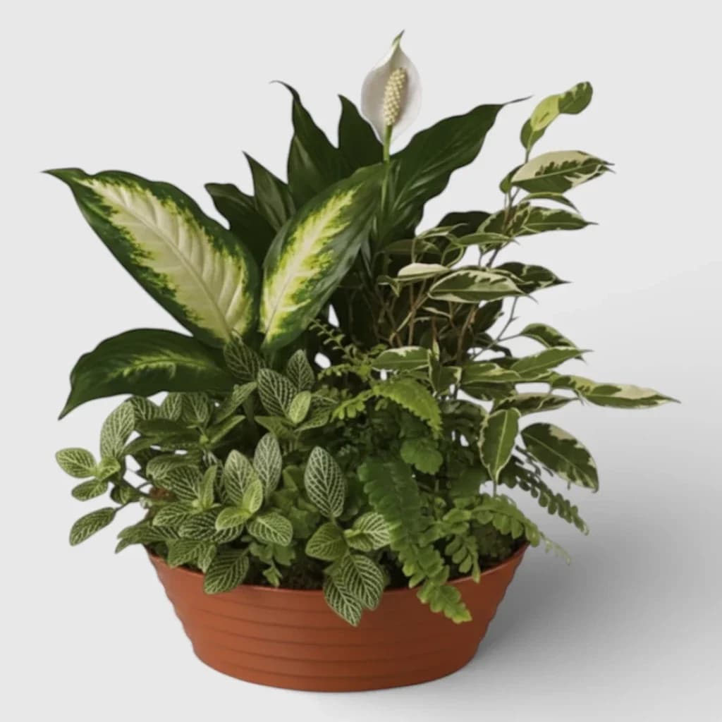 Plants arranged in pot "Flower Garden"