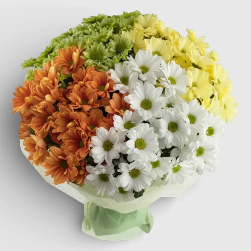Bouquet of 19 multi-colored chrysanthemums "Shades of Love"