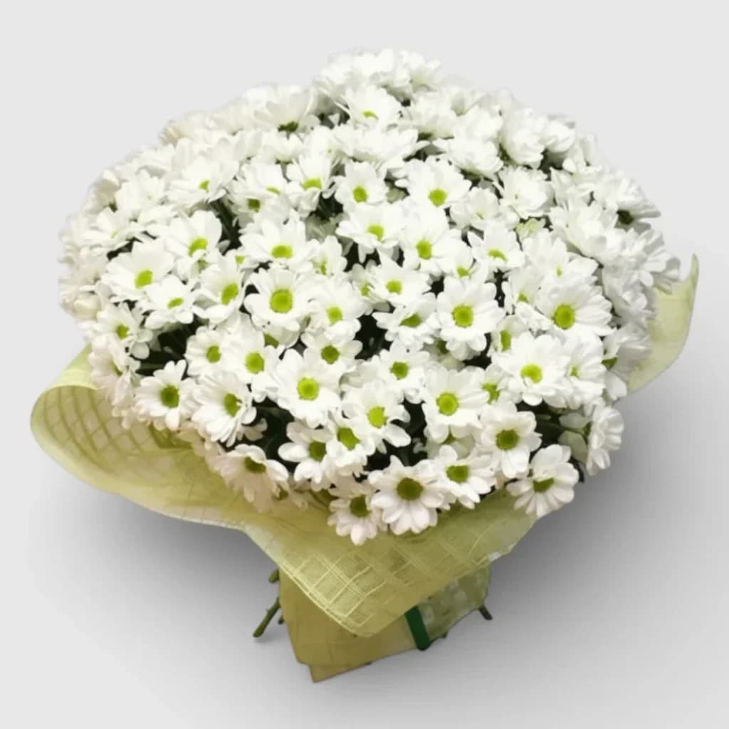 Bouquet of flowers  «White Сamomile Сhrysanthemums»