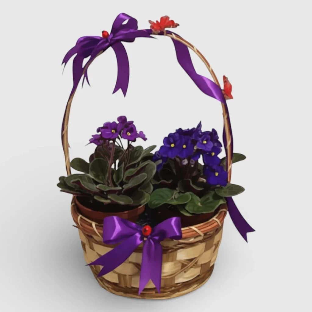 Violet Plants Basket  «Violets And Butterflies»