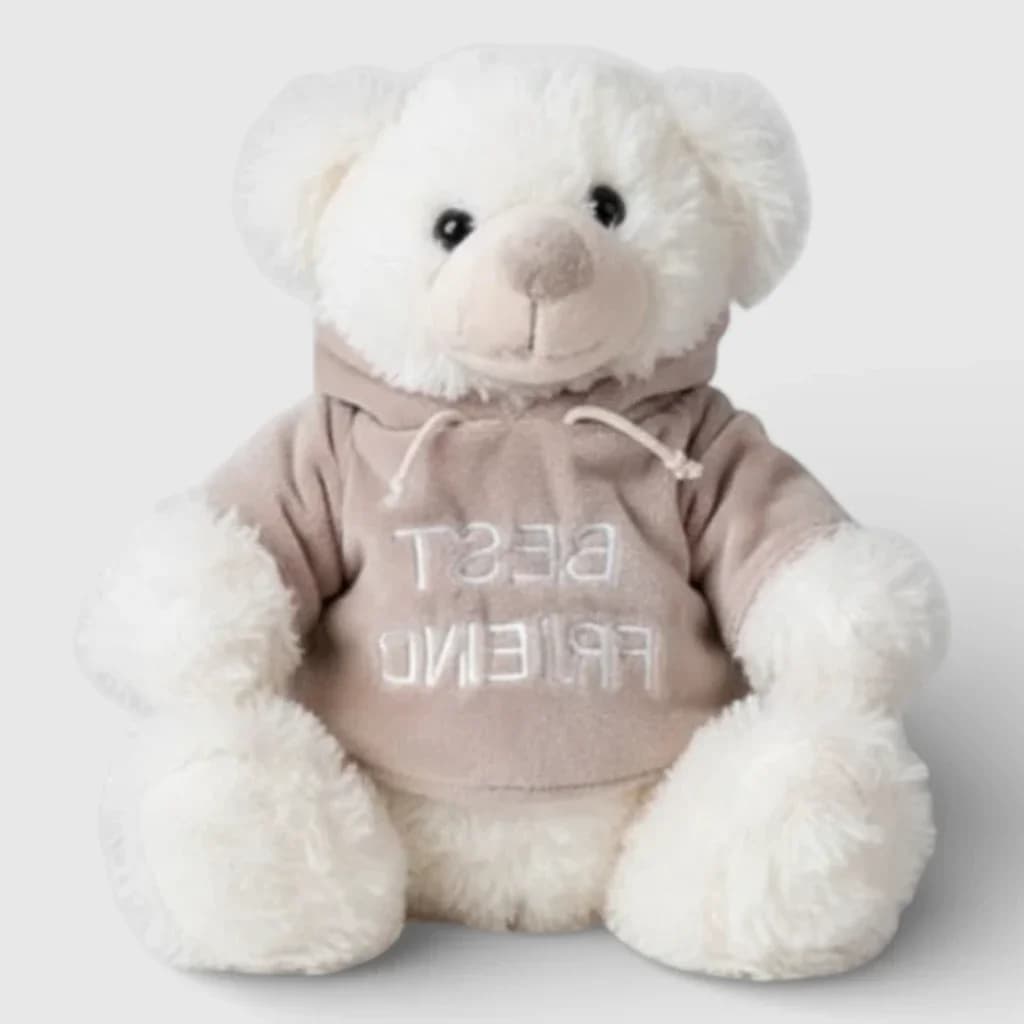 Soft toy teddy bear in a hoodie