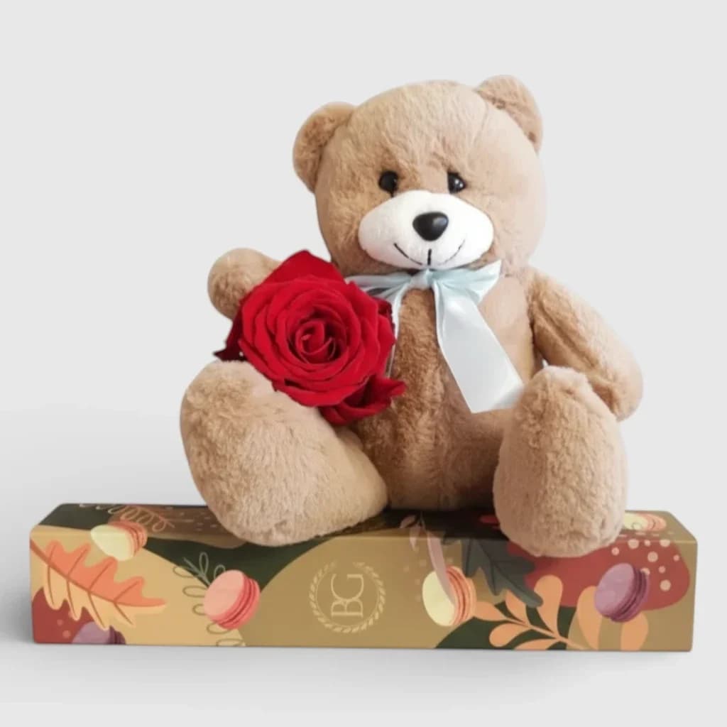 Teddy bear brown with a rose and a gift 