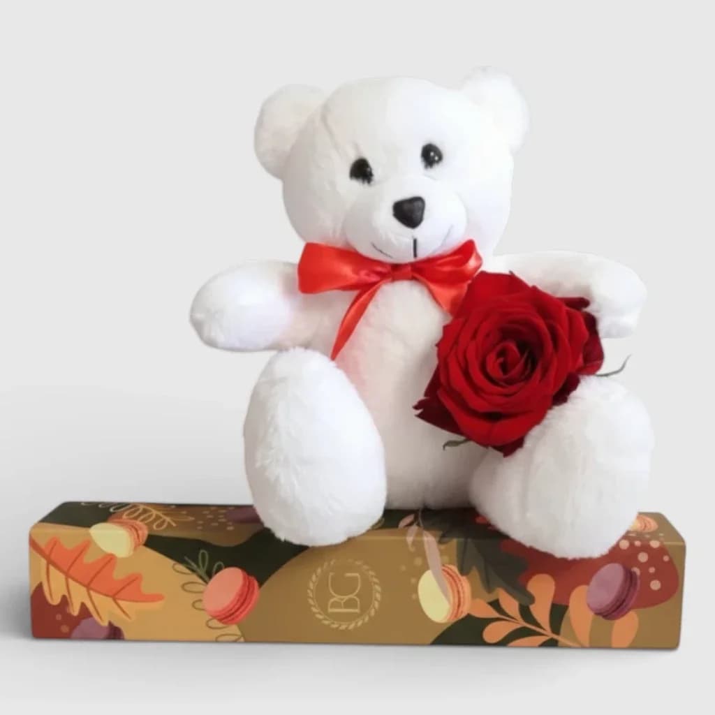 White Teddy bear with a rose and a gift.