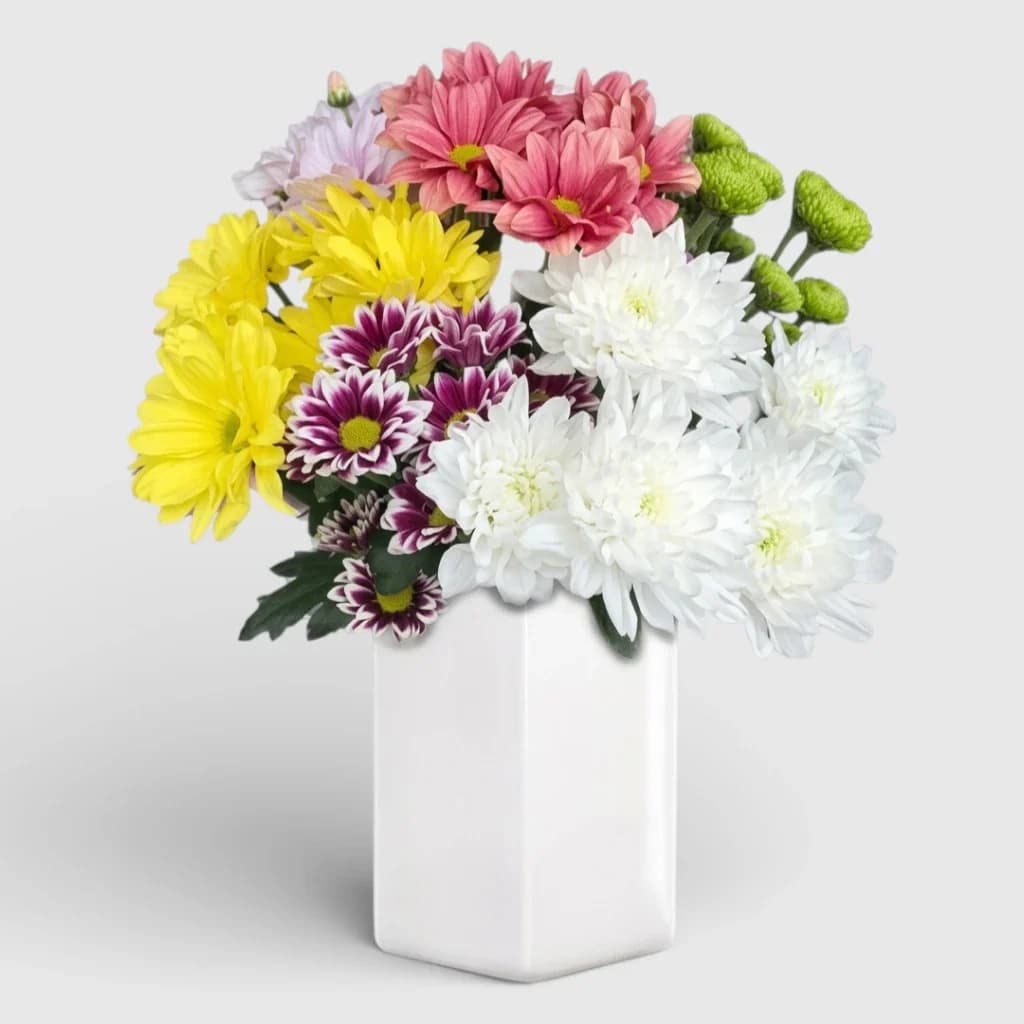 Bouquet of 7 multicolored chrysanthemums