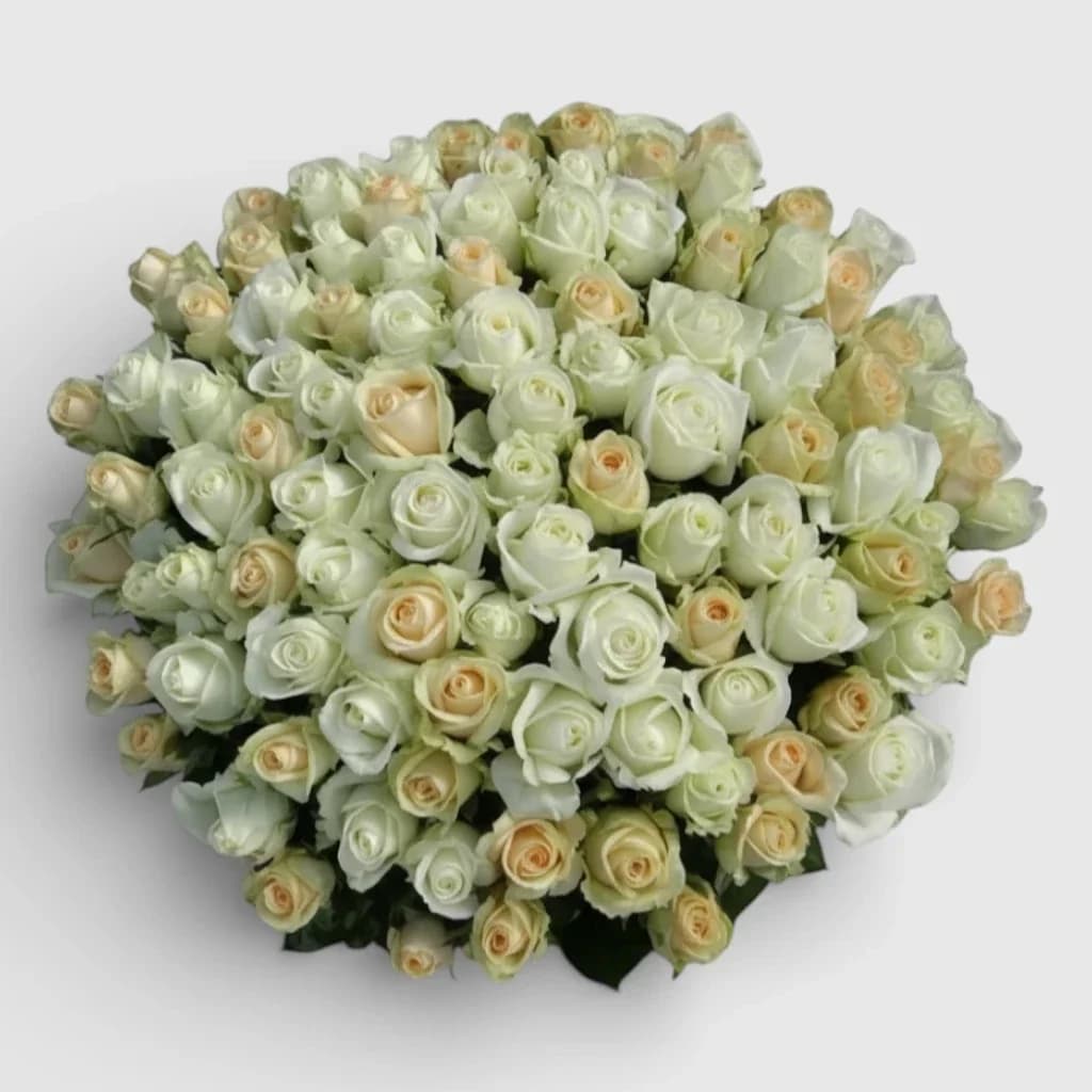 VIP bouquet 101 white and cream roses
