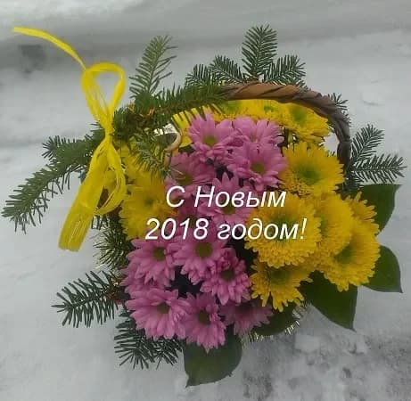 Happy New Year 2018!