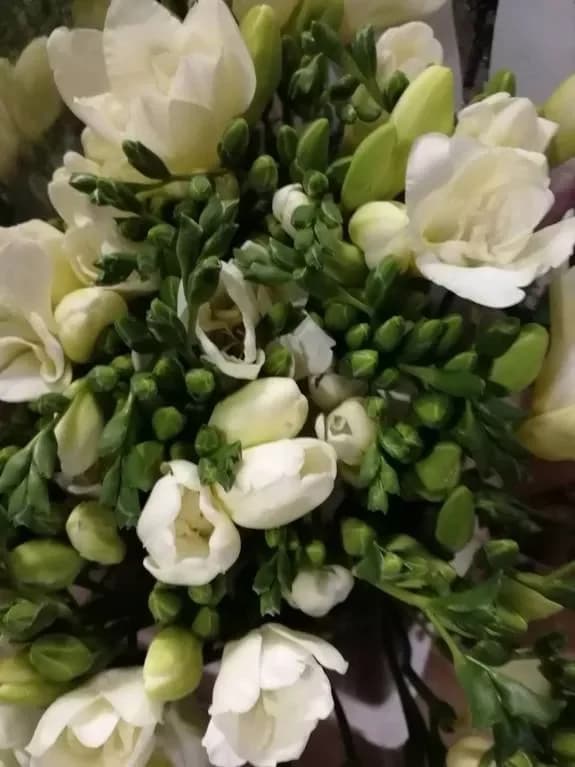 We invite you to buy bouquets for Knowledge Day!