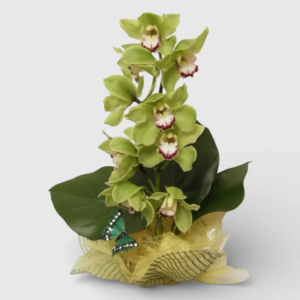 Flowers arrangement "Exotic Orchid"