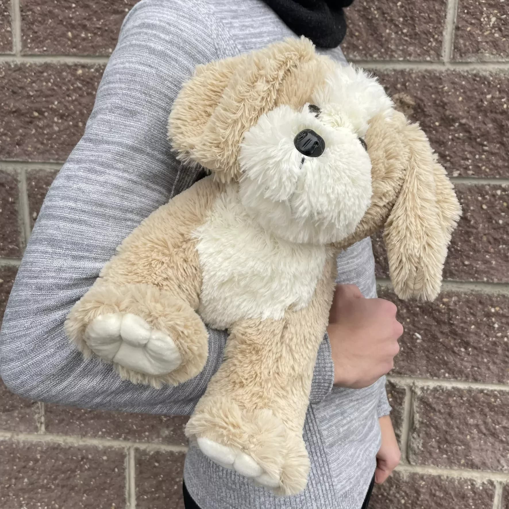 Soft toy dog "Buf", coffee