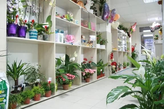 Floral arrangements