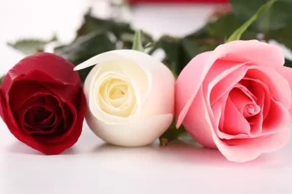 Rules for flower care