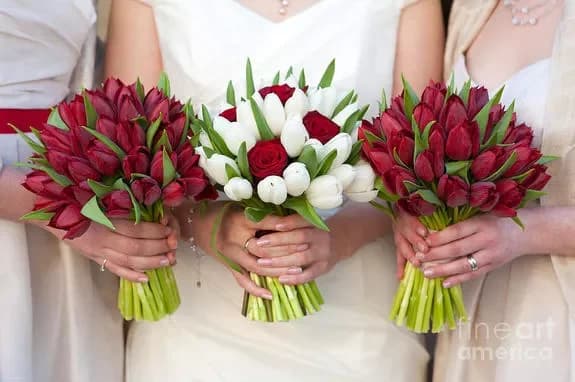 Buy tulips with delivery in Minsk, Belarus