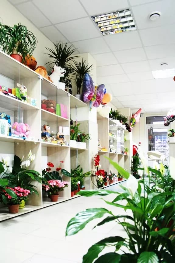 Flower and gift shops