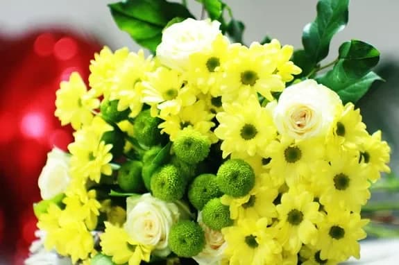 Flower and gift shop: Minsk, Matusevich, 72