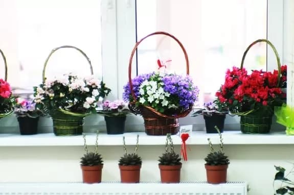 Flower and gift shop: Minsk, Matusevich, 72