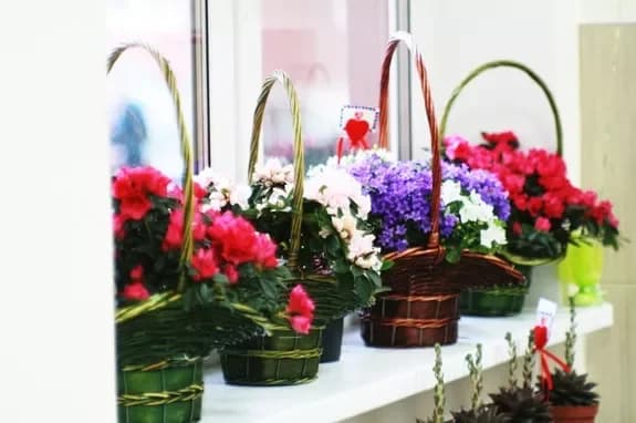 Flower and gift shop: Minsk, Matusevich, 72
