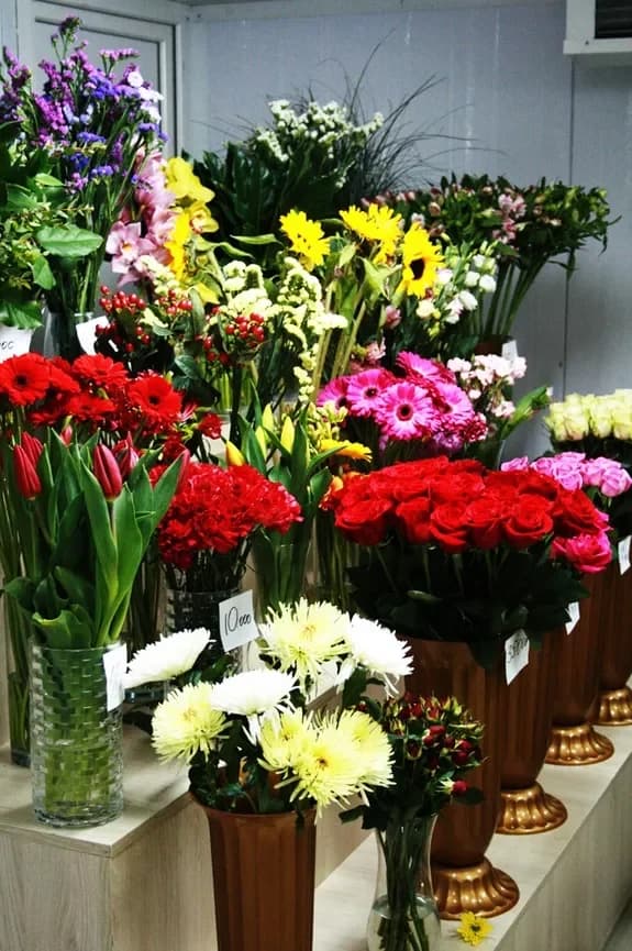 Flower and gift shop: Minsk, Matusevich, 72