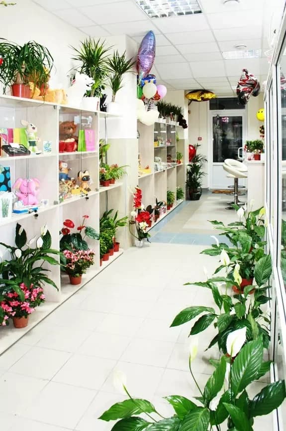 Flower and gift shop: Minsk, Matusevich, 72