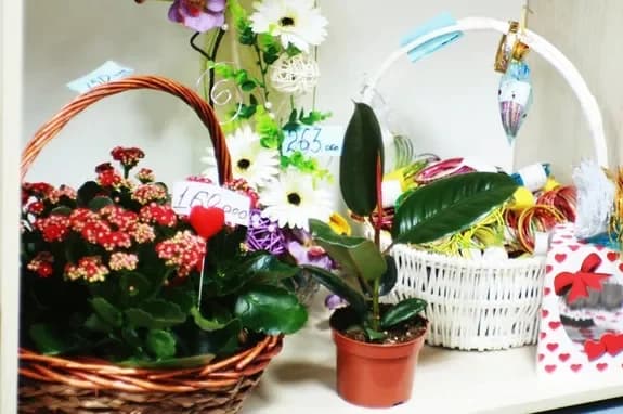 Flower and gift shop: Minsk, Matusevich, 72
