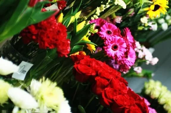 Flower and gift shop: Minsk, Matusevich, 72
