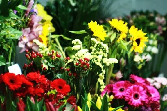 Flower and gift shop: Minsk, Matusevich, 72