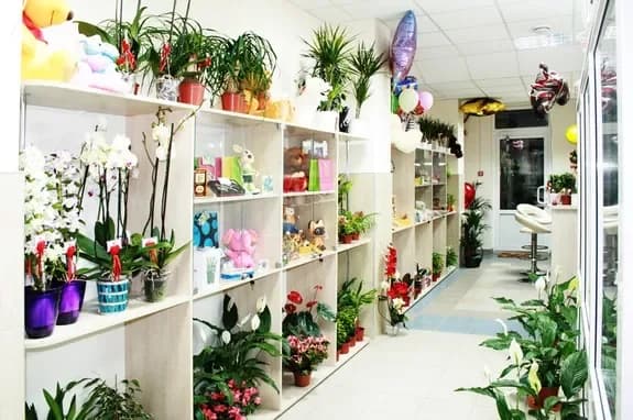 Flower and gift shop: Minsk, Matusevich, 72