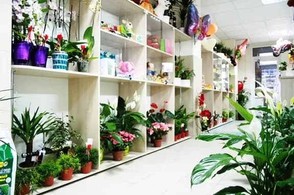 Flower and gift shop: Minsk, Matusevich, 72