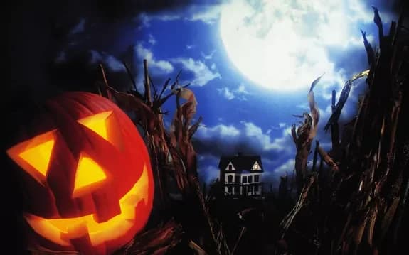Coming 31st October 2018! Send Halloween bouquets