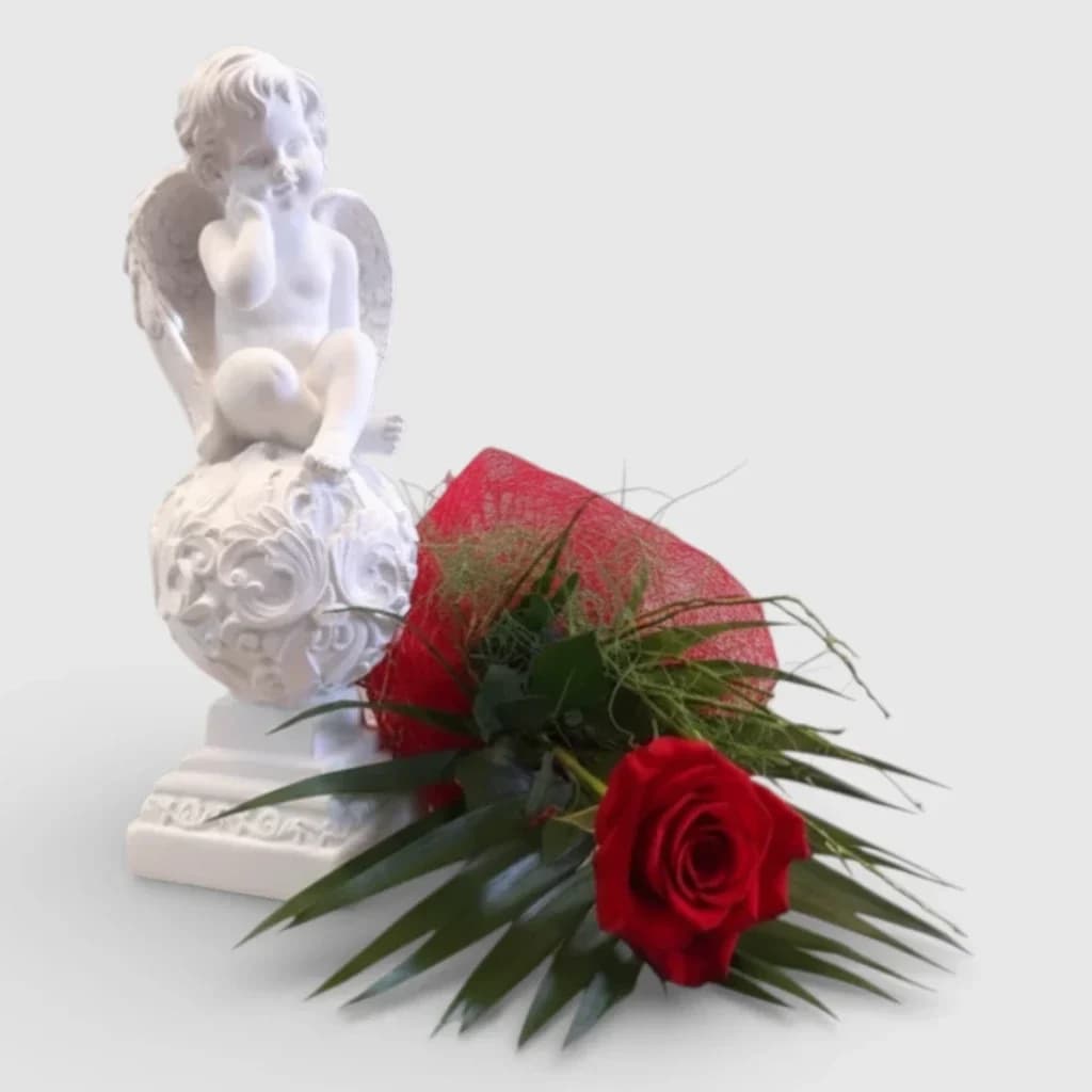 Premium Red Rose & Angel Gift Set