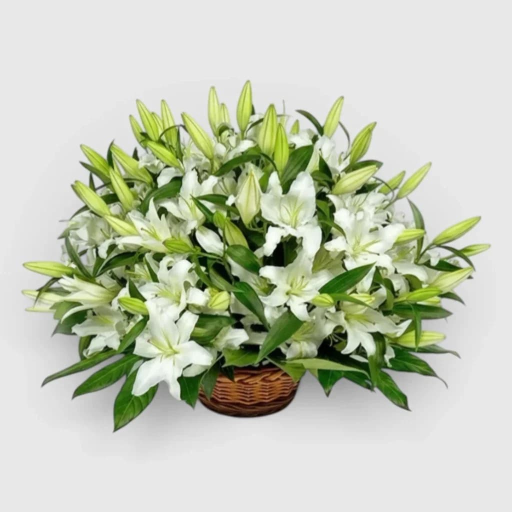 White lilies in a basket
