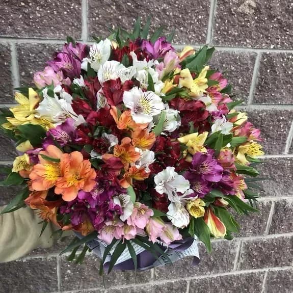 Bouquet of multi-colored Alstroemeria "Wonderful Sunrise"