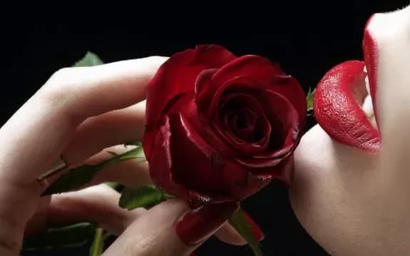 Buy red roses with delivery in Minsk, Belarus