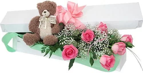 Buy pink roses with delivery in Minsk, Belarus