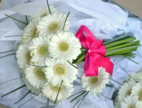 Buy gerberas with delivery in Minsk, Belarus
