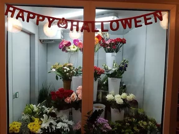 Halloween isn't that scary