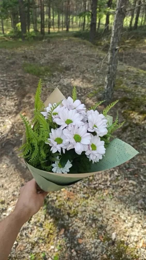 The beauties of Belarusian nature