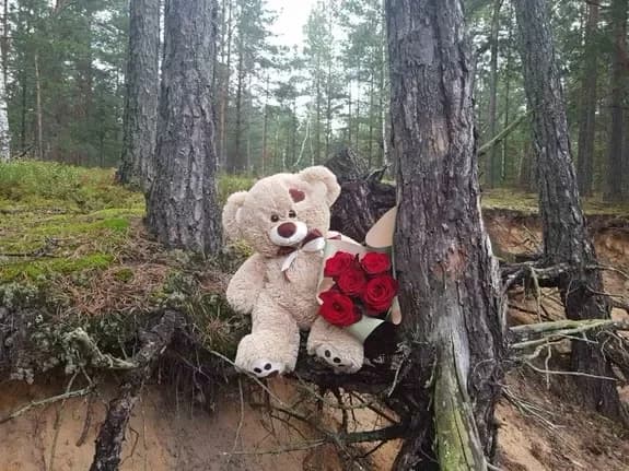 The beauties of Belarusian nature