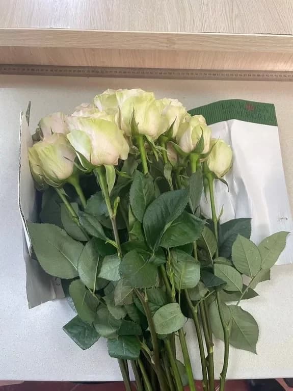 Processing Cut Flowers: A Step-by-Step Guide for Florists