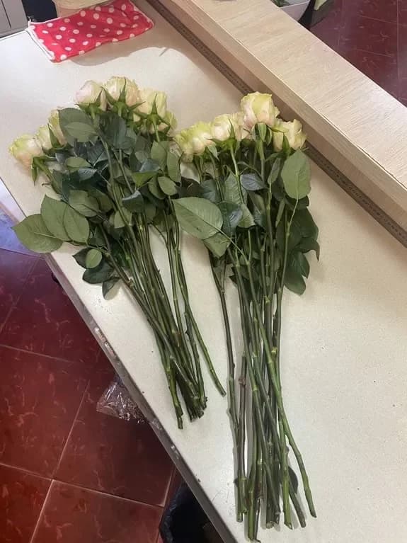 Processing Cut Flowers: A Step-by-Step Guide for Florists